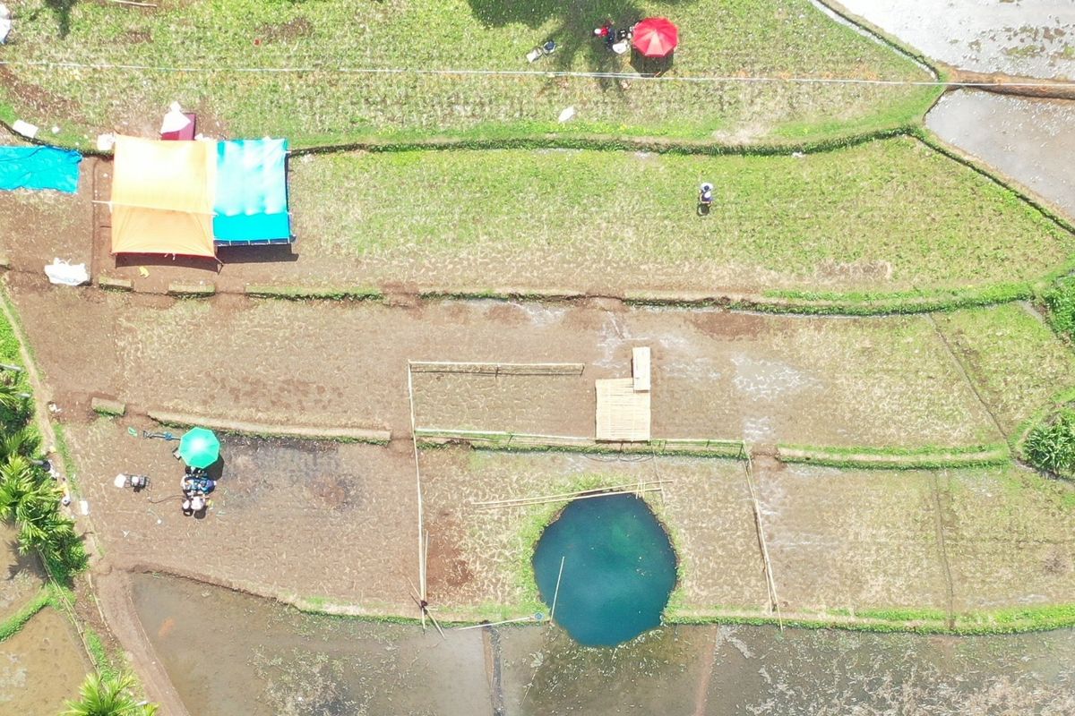 Sinkhole Situjuah Batua, Kabupaten Limapuluh Kota, di Sumatera Barat dinilai unik oleh Badan Geologi. Apa maksudnya?