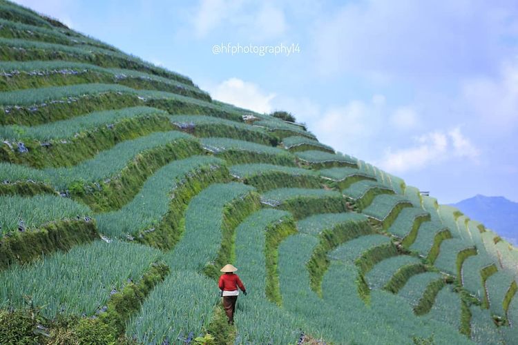 Tempat wisata bernama Wisata Terasering Sitegong di Kecamatan Kajoran, Kabupaten Magelang.