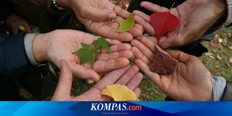 tanggal 16 november 2000 hari apa