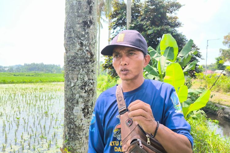 Kisah Pilu Ulu-ulu di Jember: Kerja Siang Malam Atur Irigasi, Tak Dibayar karena Petani Gagal Panen