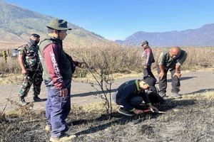 Karhutla Gunung Bromo Capai 1.120 Hektare, Gakkum Kehutanan Kesulitan Temukan Pelaku