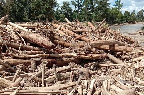 Walhi: Banjir Bandang di Luwu Utara Disebabkan Pengalihan Fungsi Hutan