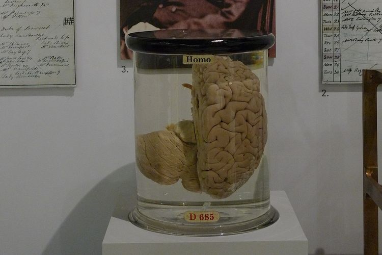 Otak Charles Babbage