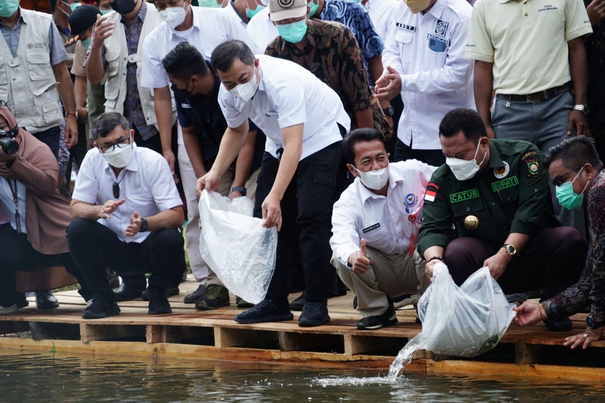 Kementerian Kelautan dan Perikanan (Kementerian KP) bersama Food and Agriculture Organization of the United Nations (FAO) melakukan restocking puluhan ribu ikan endemik di sungai Sangolan, Kabupaten Kampar, Provinsi Riau, Jumat (18/3/2022).