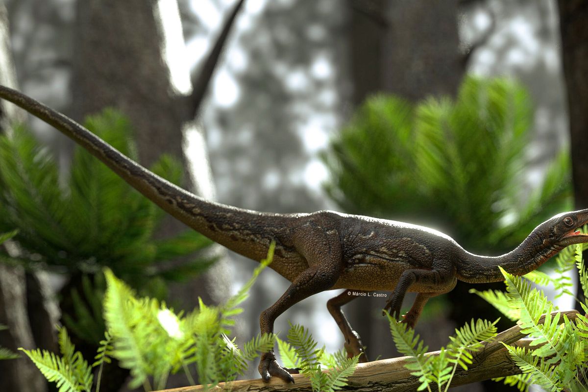 Penggambaran Buriolestes schultzi, salah satu dinosaurus tertua yang tengah menangkap mangsanya.