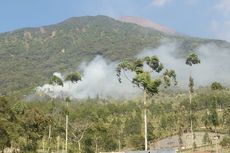 Hutan Lindung Gunung Slamet yang Terbakar Capai 14,3 Hektare