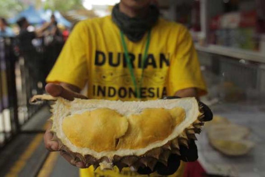 Travel - Durian Fair 2016 di Blok M Square