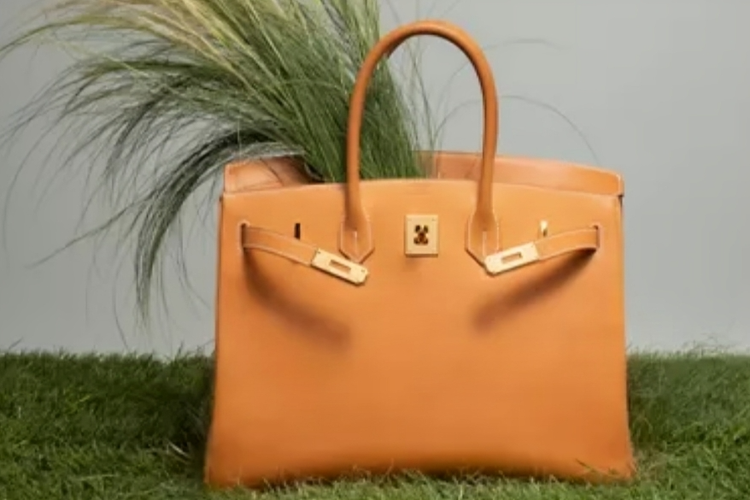 Walmart Jual Hermès Birkin Tiruan, Kenapa Ada Warganet yang Mendukung?