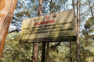 Kisah Desa di Pekalongan yang Tak Takut Macan, Punya Aturan Melarang Perburuan Satwa
