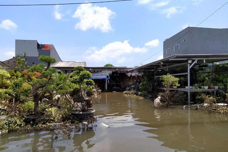 Salah satu toko tanaman hias di Gebang Raya, Periuk, Kota Tangerang, Banten yang merugi hingga Rp 20.000.000 akibat banjir. Kerugian itu akibat ratusan tanaman dan benda lain yang dijual toko tersebut hanyut pada Sabtu (20/2/2021) pekan lalu.