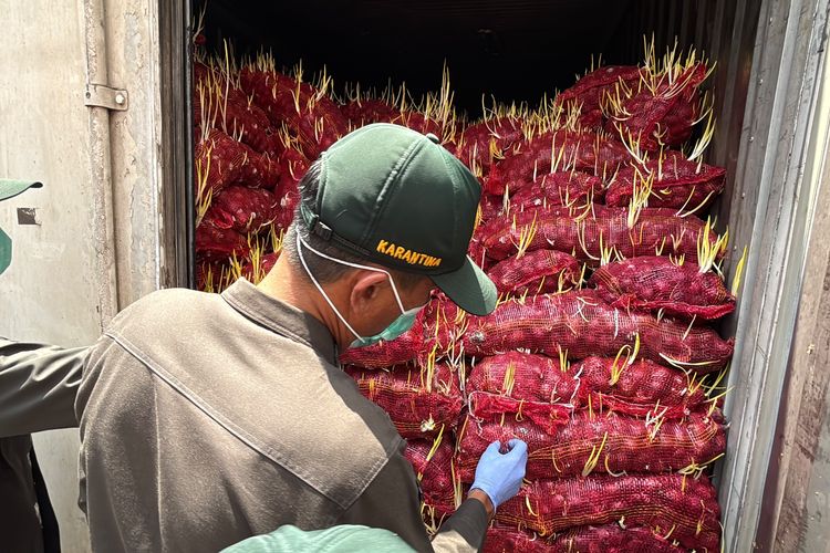 Puluhan Ton Bawang Merah Busuk dan Berjamur asal Jakarta Masuk Sulut