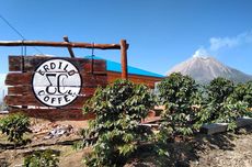 Kafe Dekat Gunung Sinabung Ini Tawarkan Sensasi Camping Berlatar Alam