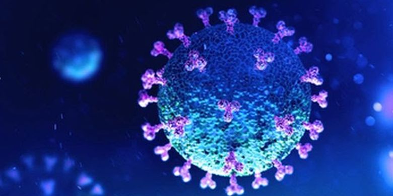 An illustration of coronavirus. 