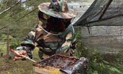 Semen Baturaja Reklamasi Lahan Pasca Tambang untuk Budidaya Lebah Trigona