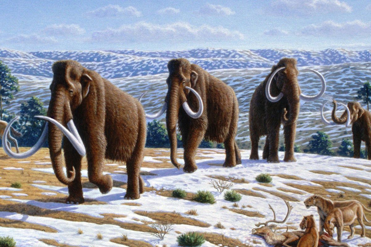 Ilustrasi Woolly mammoths (Mammuthus primigenius) atau mammoth berbulu dalam landskap akhir Pleistocene, akhir zaman es di Spanyol utara. Mammoth purba.