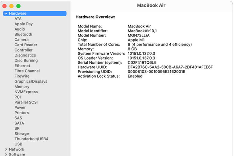 Ilustrasi cara cek prosesor Macbook lewat System Report.