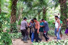 Penjala Ikan di Aceh Timur Diterkam Buaya, Tangan Patah, Kaki Luka-luka