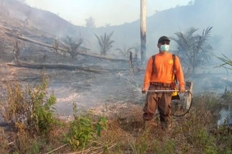 BMKG Deteksi 12 Titik Panas di Sumatera Utara, Ini Sebaran Wilayahnya