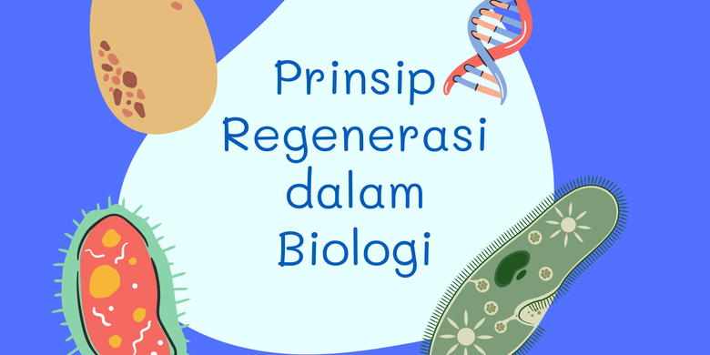 Prinsip Regenerasi dalam Biologi - Vimarsana News