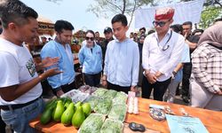 Dialog dengan Anak Muda, Gibran Yakin Potensi Wisata Banyuwangi Makin Berkembang