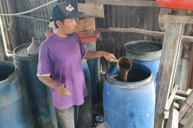 Rojai menunjukan urin sapi di dalam gentong di kandang ternaknya di tengah area persawahan di Desa Tegalkarang Kecamatan Palimanan Kabupaten Cirebon, Rabu (13/3/2024) siang. Kotoran urin sapi yang baru keluar ini akan difermentasi lalu dibuat pupuk organik cair.