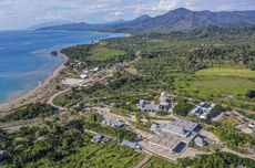 Legenda Timor Leste: Persahabatan Anak Lelaki dan Buaya