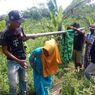 Kisah Pilu Ibu Hamil di Pandeglang, Ditandu gara-gara Jalan Rusak, Sempat Terjatuh, Bayi Kembarnya Meninggal