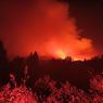 Hutan Terbakar di Kawasan Pegunungan Ijen Capai 10 Hektar