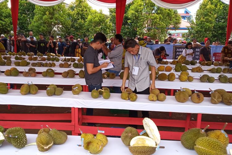 Para juri menilai buah durian di Festival Durian Bumi Khatulistiwa, di Halaman Parkir A Yani Mega Mall Pontianak, Kalimantan Barat, Sabtu (24/8/2019)