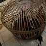 Polisi Gerebek Arena Sabung Ayam di Bandung, 18 Orang dan 10 Ayam Diamankan