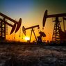 OPEC+ Sepakat Pangkas Produksi Minyak, Perang Harga Arab-Rusia Berakhir
