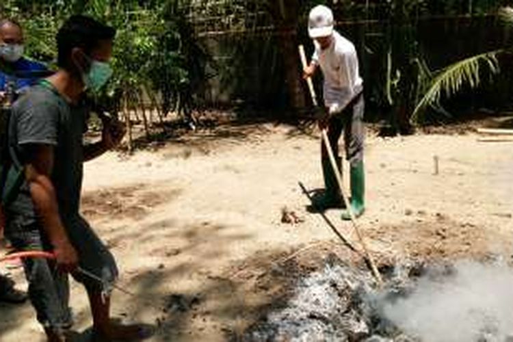 Peternak di Desa Wringinagung Kecamatan Gambiran Kabupaten Banyuwangi membakar unggas miliknya