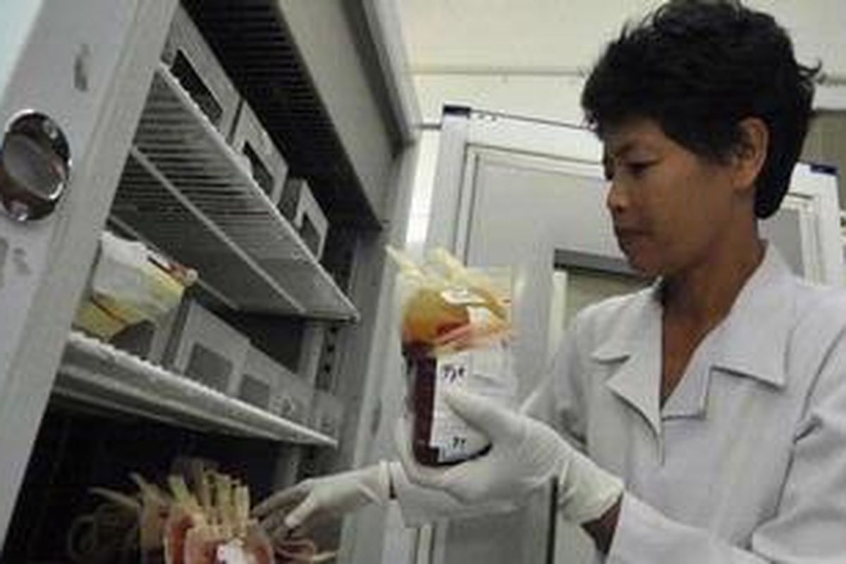 Ilustrasi: Veronica (47) menata kantung darah yang disimpan di kantor PMI Kota Yogyakarta, Jalan Tegalgendu, Yogyakarta, Rabu (13/7/2011). 