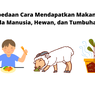 Perbedaan Cara Mendapatkan Makanan Pada Manusia, Hewan, dan Tumbuhan