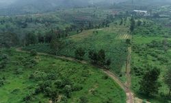 Bank Tanah Kelola 34.806 Hektar Lahan, 33,9 Persen buat Reforma Agraria