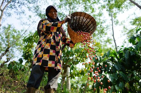 Petani Kopi Sumedang Dapat Bantuan Mesin Produksi dan Pelatihan