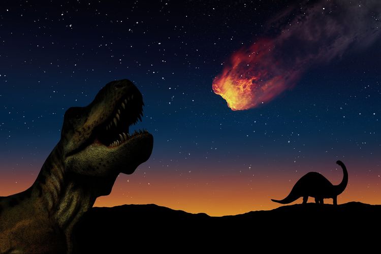 ilustrasi kepunahan dinosaurus. Asteroid menyebabkan kepunahan dinosaurus, namun ternyata mamalia purba selamat dari peristiwa tersebut.