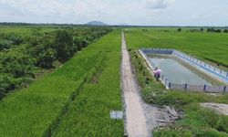 Hadapi Musim Kemarau, Kementan Siapkan Pompanisasi dan Pipanisasi