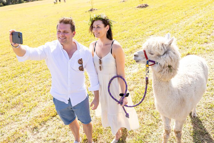 Alpaca Picnic in the Vines