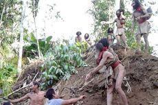 Cerita Suku Togutil Halmahera, Bertahan Hidup di Pedalaman Hutan