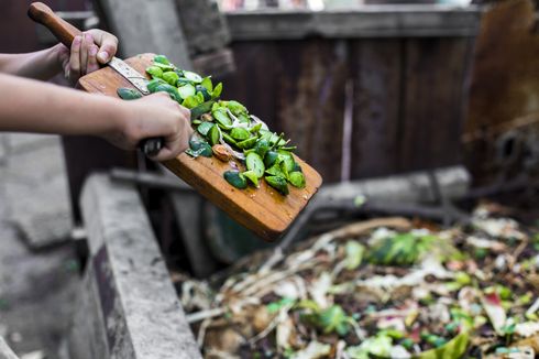 8 Langkah Sederhana Membuat Kompos Sendiri di Rumah