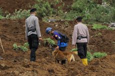 16 Anjing Pelacak Diterjunkan Cari Korban Gempa yang Tertimbun Longsoran di Cianjur