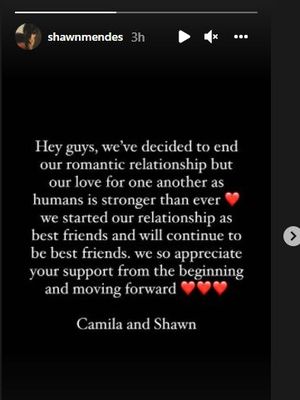 Pernyataan putus dari Shawn Mendez dan Camilla Cabello di instagram story