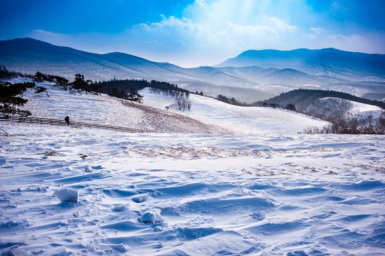 Salju di Pyeongchang, Gangwon-do, Korea Selatan.