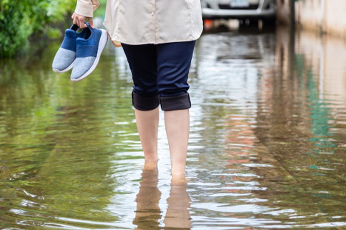 Ilustrasi leptospirosis, gejala leptospirosis, bahaya leptospirosis, penyebab leptospirosis, pencegahan leptospirosis. 