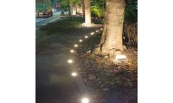 Percantik Taman Kota, Pemkot Semarang Anggarkan Rp 200 Juta untuk Flood Light 