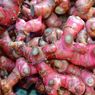 Beda Kandungan Nutrisi Jahe Merah dan Jenis Jahe Lainnya