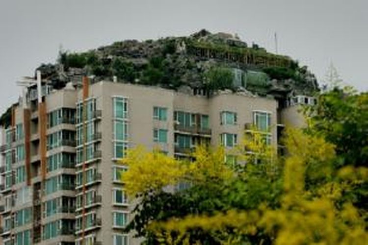 Zhang memanfaatkan ruang publik, atap apartemen, menjadi milik pribadinya. Ia menambahkan bangunan ekstensi berupa vila yang dilengkapi dengan bebatuan buatan, pepohonan dan rerumputan.