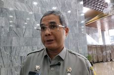 Soal Opsi Impor Beras, Wamentan Sebut 3 Pertimbangan Pemerintah