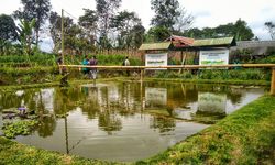 Musim Kemarau, Petani Bali Tetap Produktif Berkat Embung